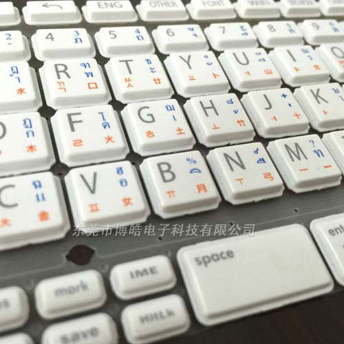 學習機P+R按鍵細節圖